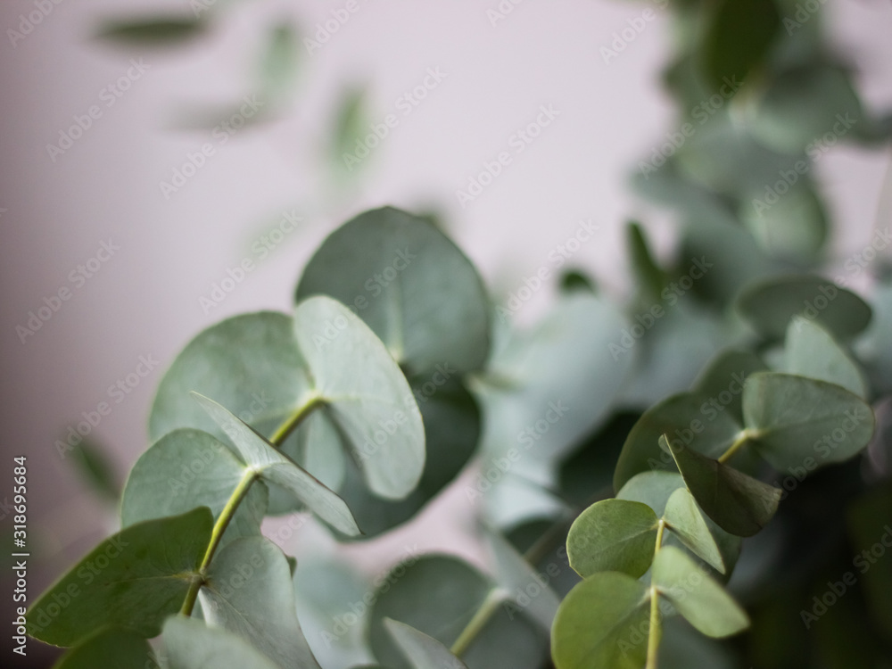AdobeStock_318695684_Preview